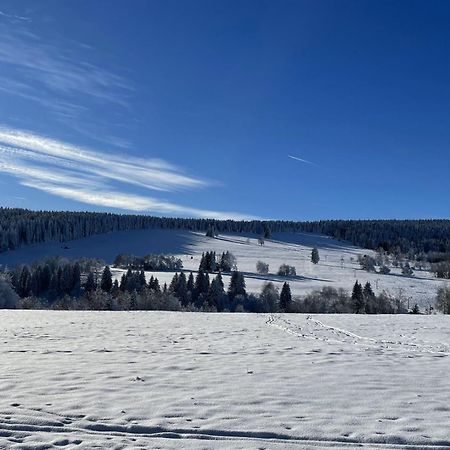 Apartman Nove Hute Sumava Exterior foto